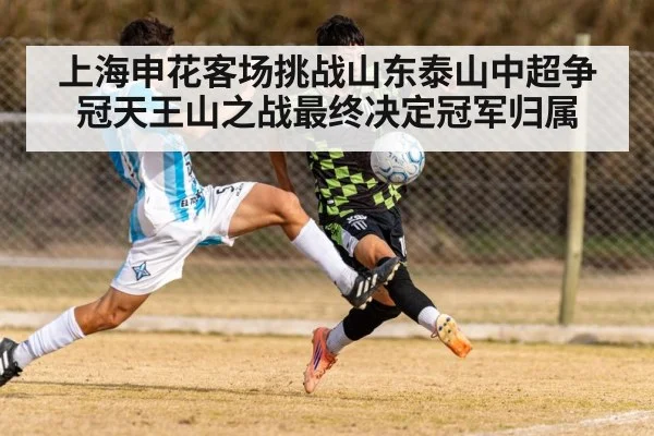上海申花客场挑战山东泰山中超争冠天王山之战最终决定冠军归属