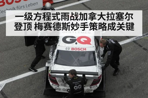 Mercedes pit strategy