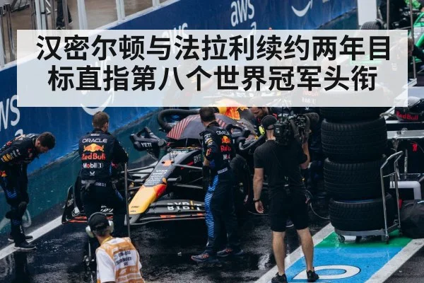 F1 pit stop team